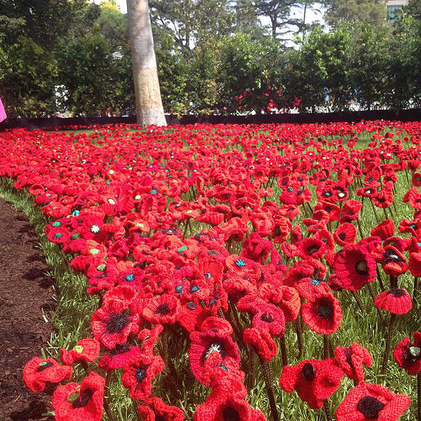 Melbourne International Flower & Garden Show by Transrock
